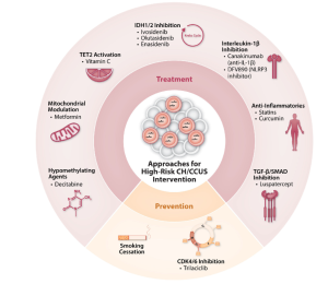 Summary of the intervention approaches to mitigate malignant transformation in high-risk clonal hematopoiesis and clonal cytopenia of undetermined significance.